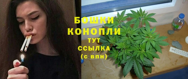прущие грибы Бородино