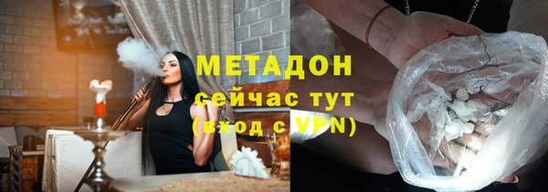 прущие грибы Бородино