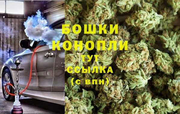 прущие грибы Бородино