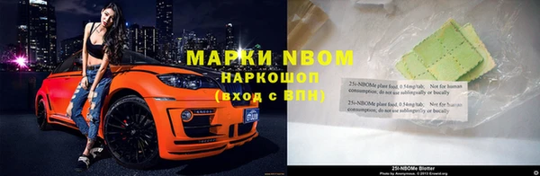 прущие грибы Бородино
