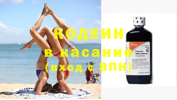 прущие грибы Бородино