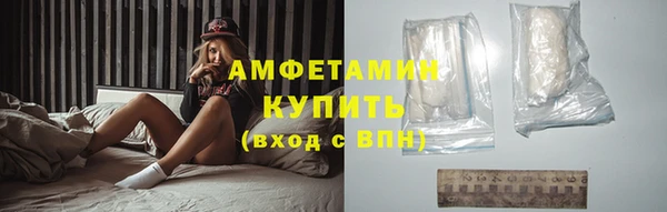 прущие грибы Бородино
