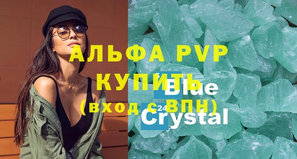 прущие грибы Бородино