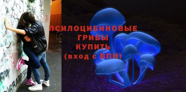 МДПВ Бугульма