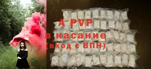 прущие грибы Бородино
