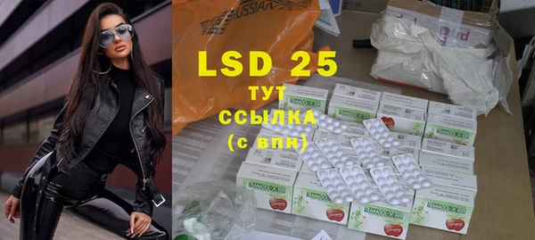 прущие грибы Бородино