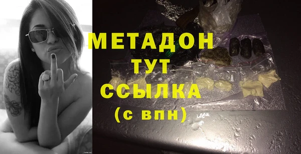 прущие грибы Бородино