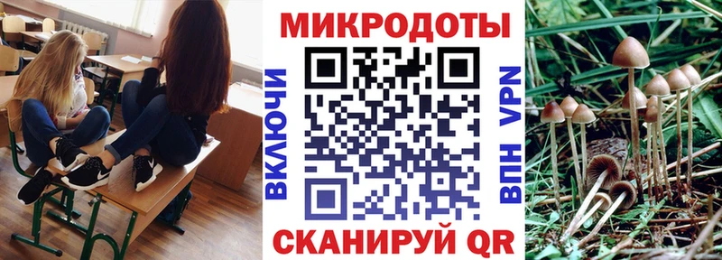 наркота  Весьегонск  Галлюциногенные грибы Psilocybe 